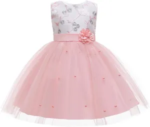 3M-9T Baby Girls Flower Dress Embroidery Paqeant Party Wedding Lace Dresses